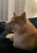 looking-sus-v0-1fcpgmruvmgb1